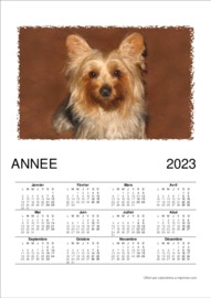 Calendrier Annuel t&eacute;l&eacute;charg&eacute; le 31/01/2026 &agrave; 17:10:36