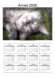 Calendrier Annuel t&eacute;l&eacute;charg&eacute; le 31/01/2026 &agrave; 17:33:52