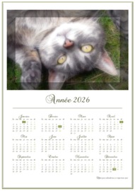 Calendrier Annuel t&eacute;l&eacute;charg&eacute; le 16/04/2026 &agrave; 08:42:40