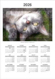 Calendrier Annuel t&eacute;l&eacute;charg&eacute; le 16/04/2026 &agrave; 08:43:16