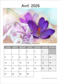 Calendrier Mensuel t&eacute;l&eacute;charg&eacute; le 16/04/2026 &agrave; 09:49:19